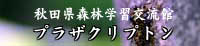 秋田県森林学習交流館 プラザクリプトン